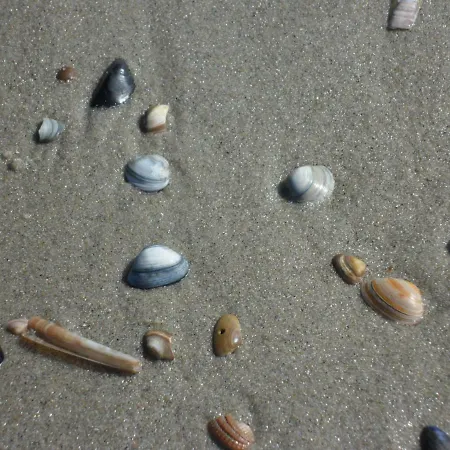 Strandleben 4 Grömitz