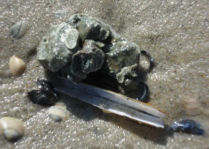 Strandleben 4 * Grömitz