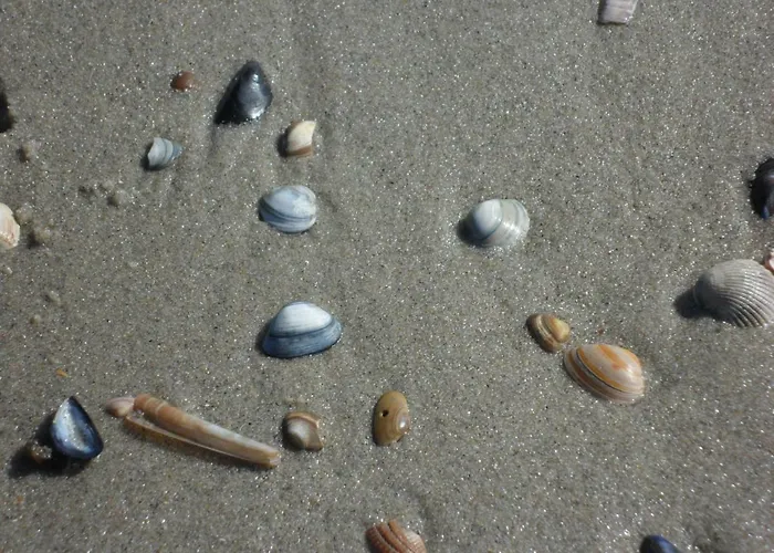 Strandleben 4 Grömitz